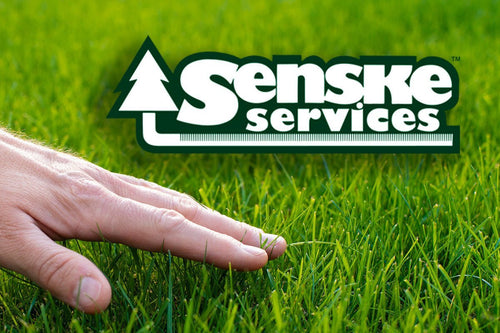 How Senske Unified 1,400 devices and Cut Microsoft 365 Licensing Costs - TrustedTech
