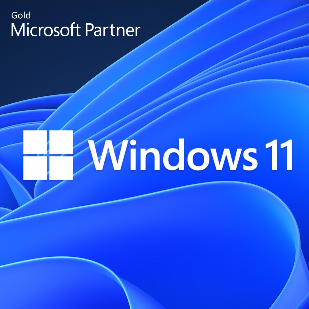 Windows 11 Pro DSP OEI - 64-bit