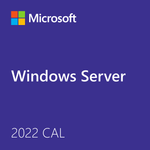 Microsoft Windows Server 2022 - 1 User Client Access License (CAL)